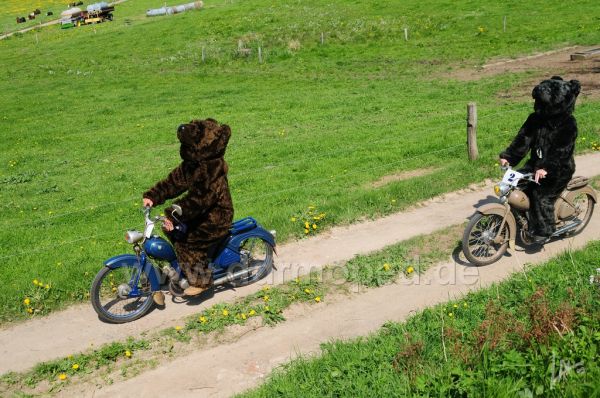 Angefgtes Bild