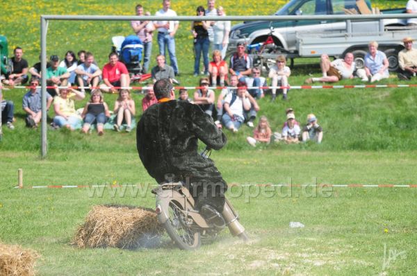 Angefgtes Bild