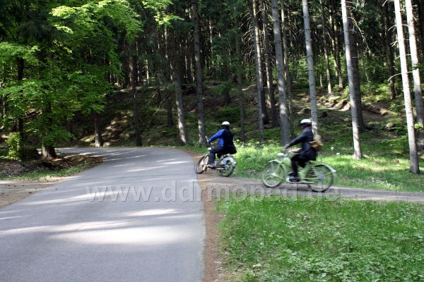 Angefgtes Bild