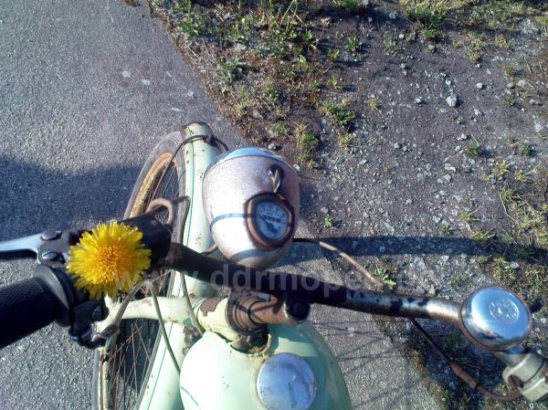 Angefgtes Bild