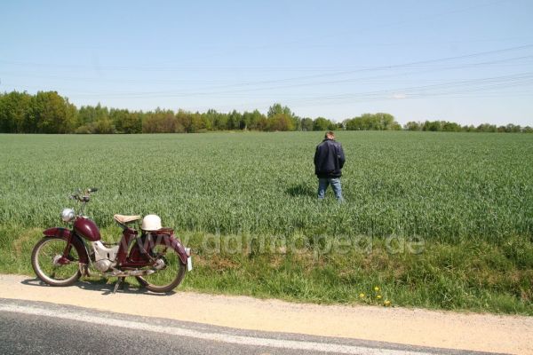 Angefgtes Bild