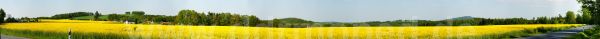 Angefgtes Bild