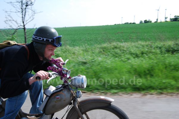 Angefgtes Bild