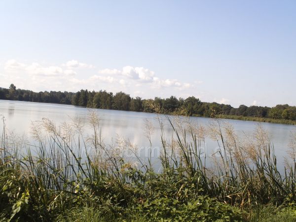 Angef�gtes Bild