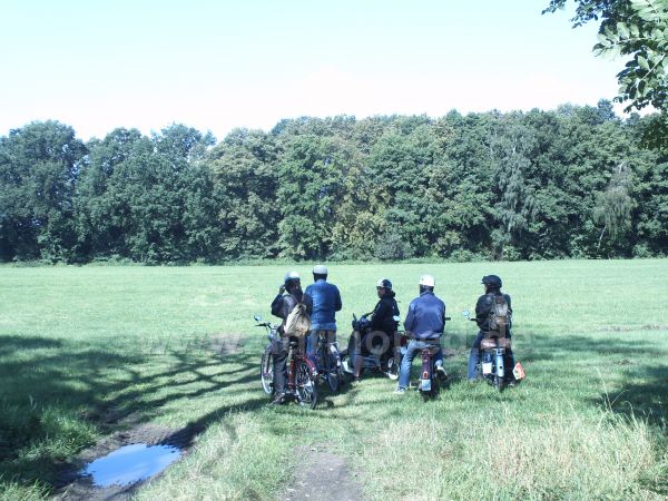 Angef�gtes Bild