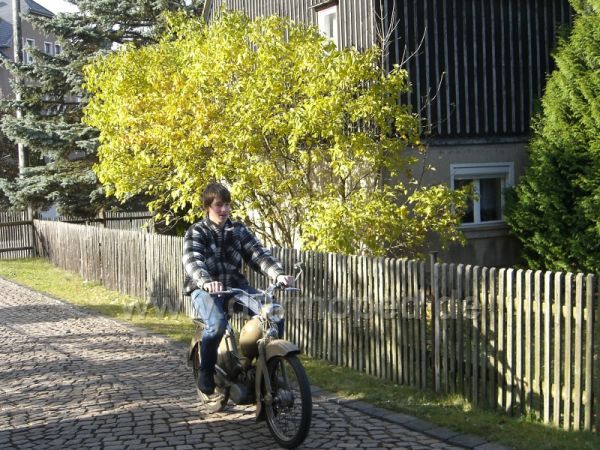 Angefgtes Bild