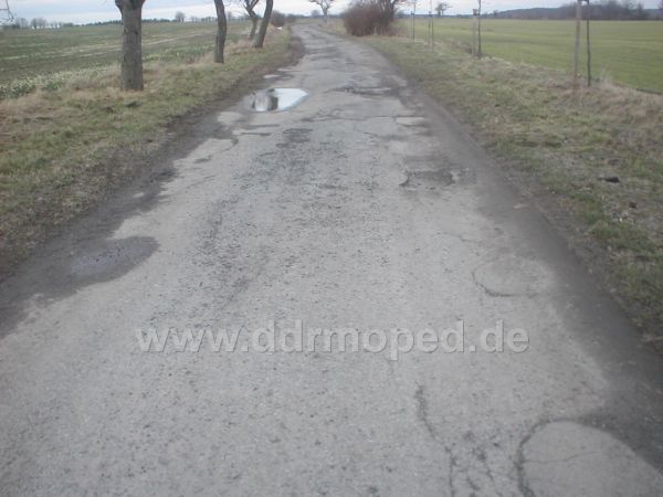 Angefgtes Bild