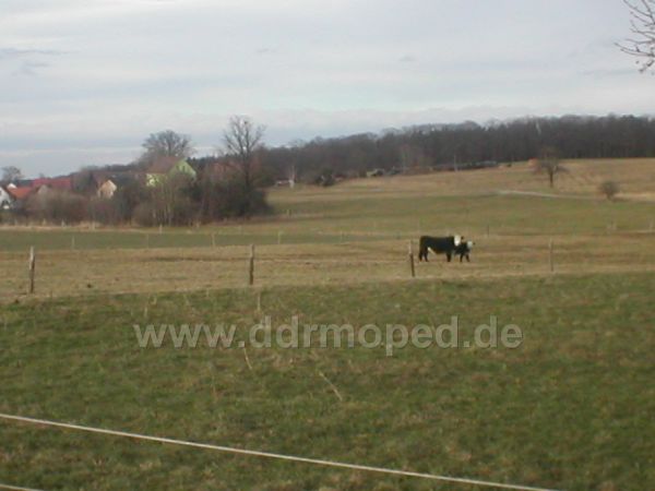 Angefgtes Bild
