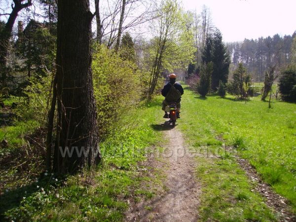 Angefgtes Bild