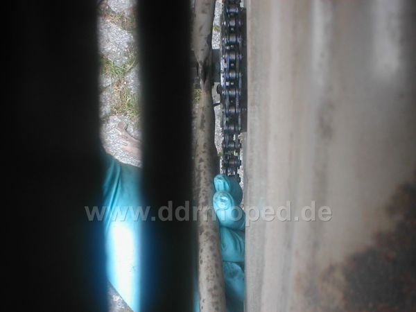 Angefügtes Bild