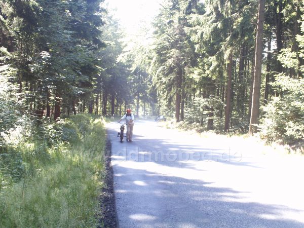 Angef�gtes Bild