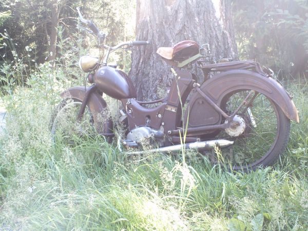 Angef�gtes Bild