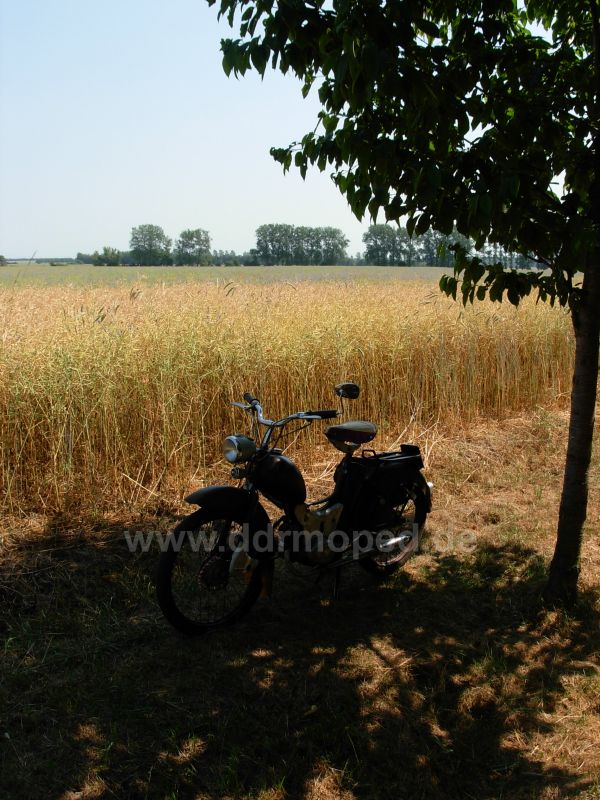 Angef�gtes Bild