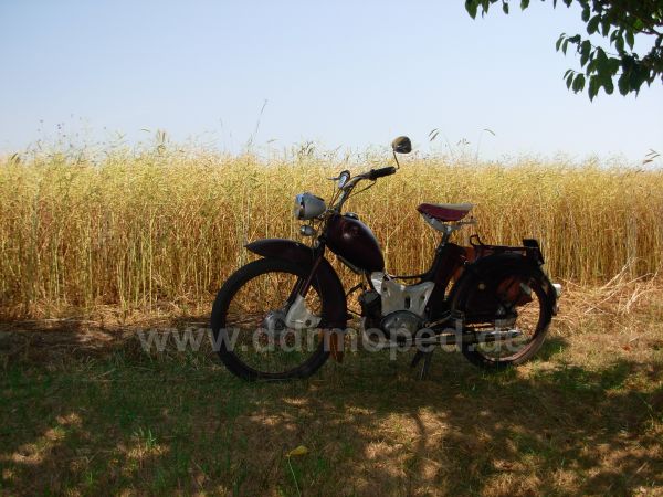 Angef�gtes Bild
