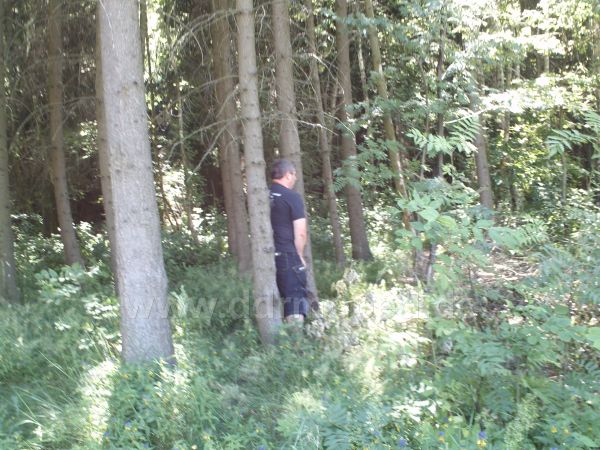 Angef�gtes Bild