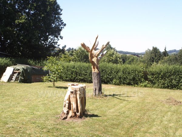 Angef�gtes Bild