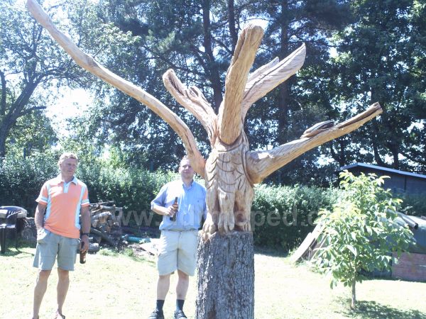 Angef�gtes Bild