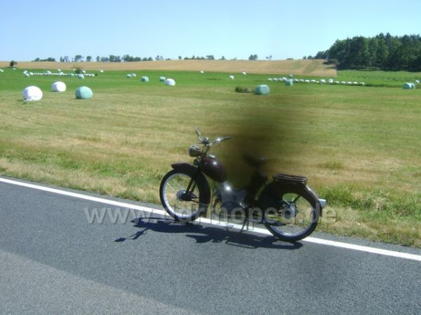 Angef�gtes Bild