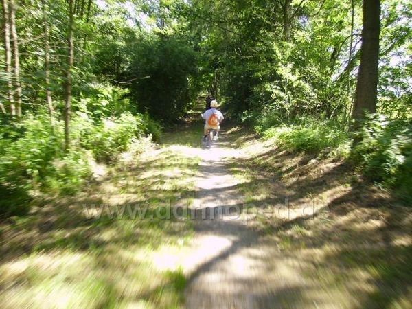 Angef�gtes Bild