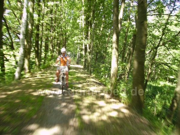 Angef�gtes Bild