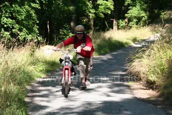 Angef�gtes Bild