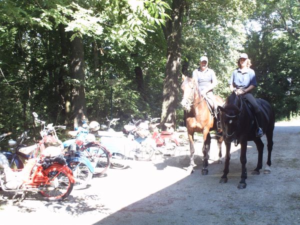 Angef�gtes Bild