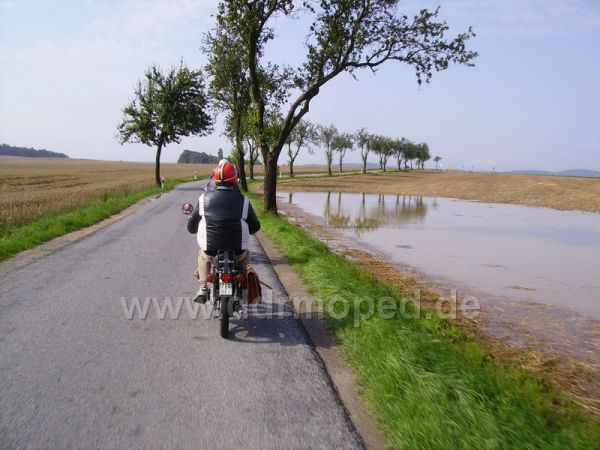 Angef�gtes Bild
