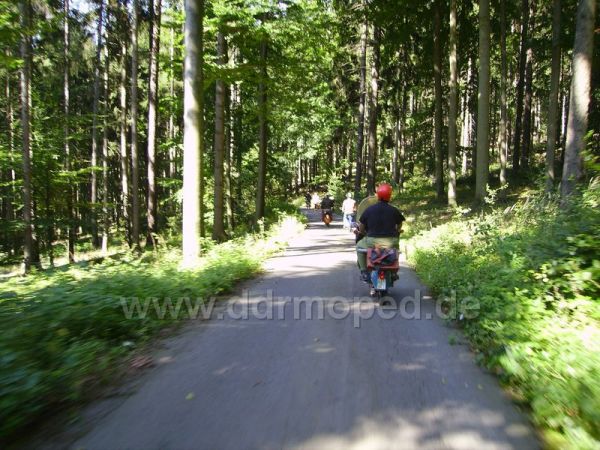 Angef�gtes Bild