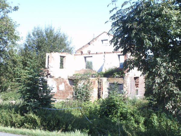 Angef�gtes Bild