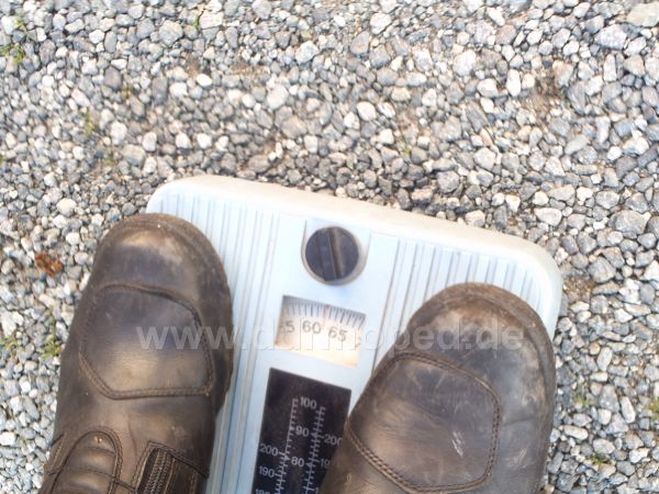 Angef�gtes Bild