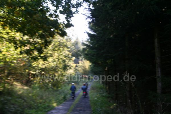 Angef�gtes Bild
