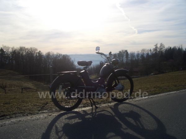Angefgtes Bild