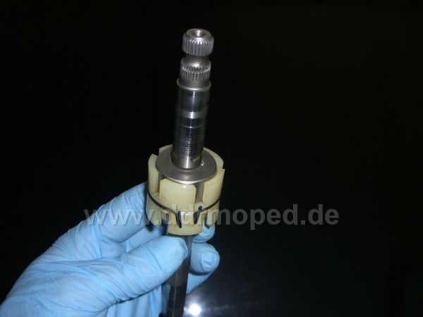 Angefügtes Bild