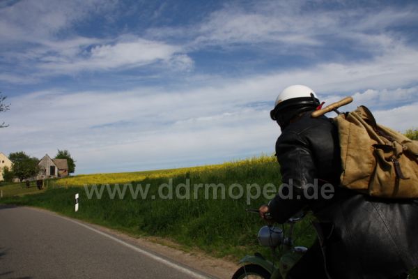 Angefgtes Bild