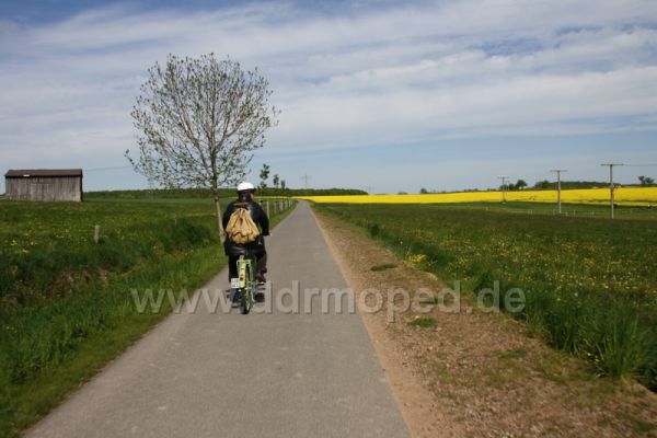 Angefgtes Bild
