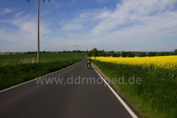 Angefgtes Bild