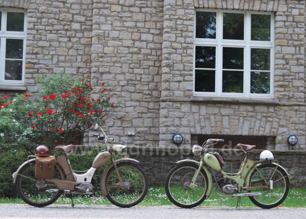 Angef�gtes Bild
