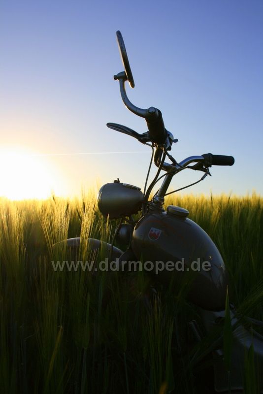 Angef�gtes Bild