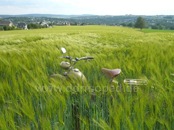 Angef�gtes Bild
