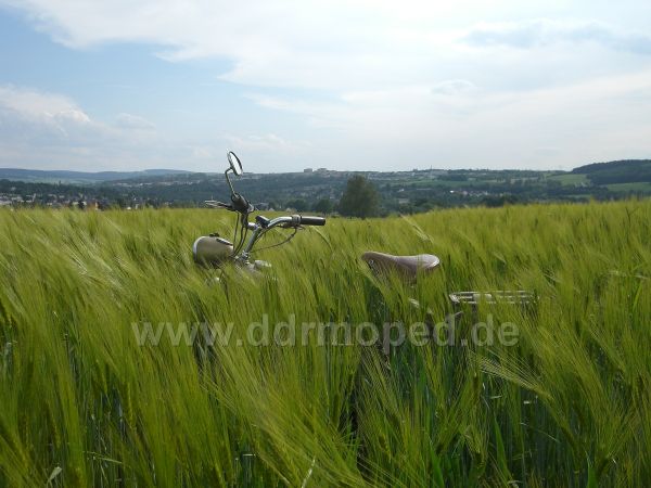 Angef�gtes Bild