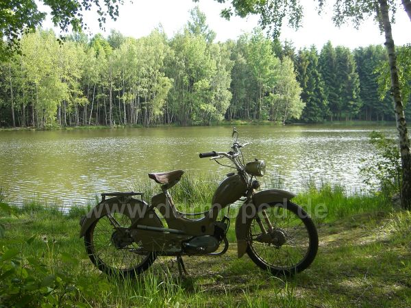 Angef�gtes Bild