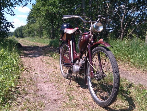 Angef�gtes Bild