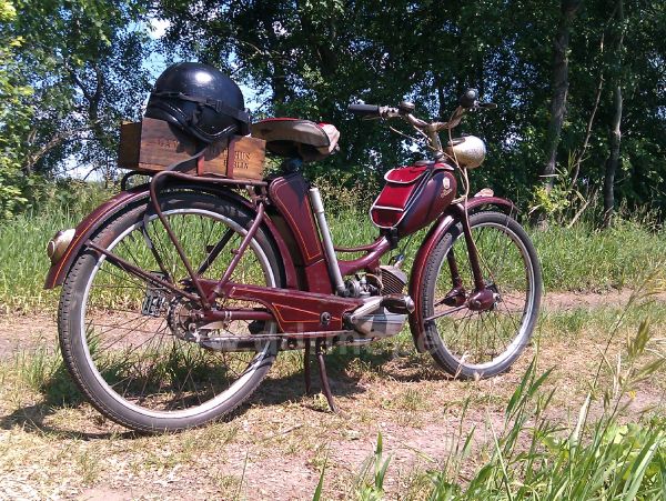 Angef�gtes Bild