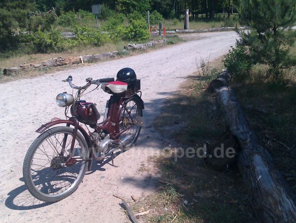 Angef�gtes Bild