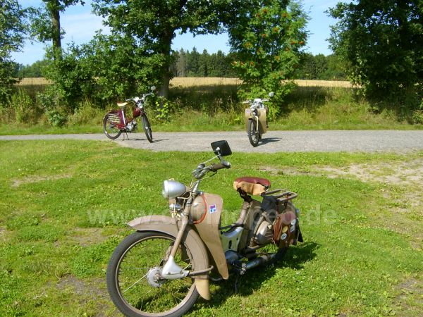 Angef�gtes Bild