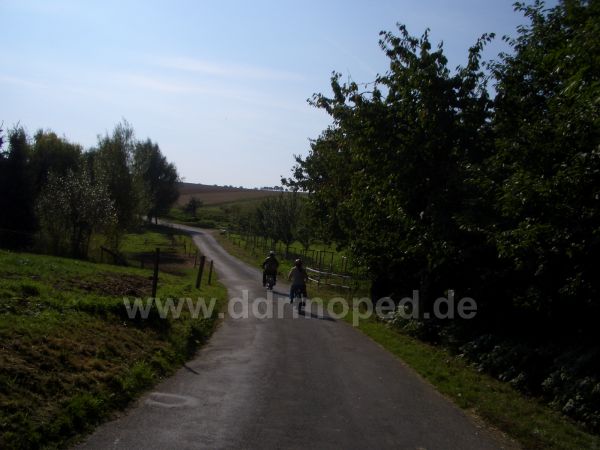 Angefgtes Bild