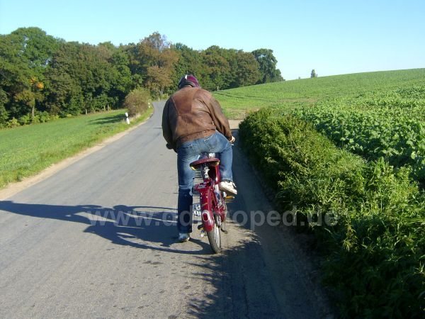 Angefgtes Bild