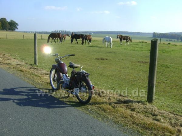 Angefügtes Bild