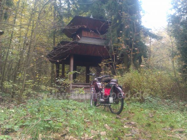 Angefgtes Bild