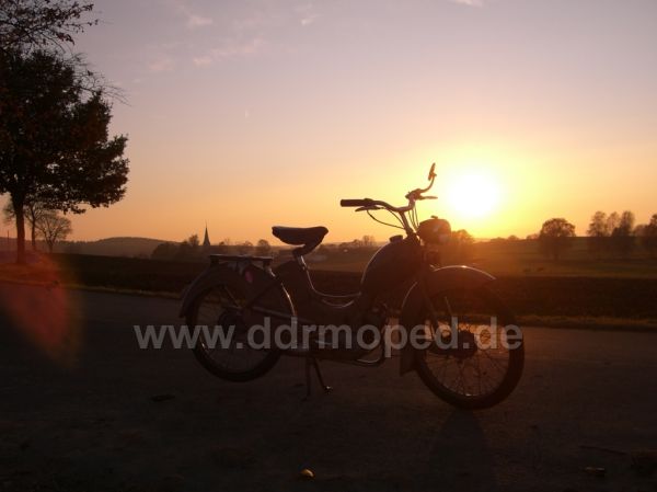 Angefgtes Bild
